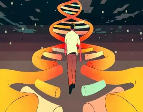 呼啦的拼音 操作方法(图)