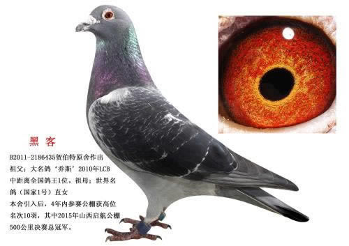 流水一倍提现怎么算办法有哪些(图)