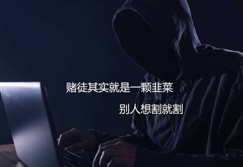 一直未审核怎样应对(图)