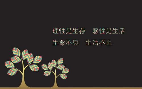 刷水套利技术规范 操作方案(图)