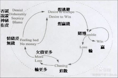 浏览器显示网站暂时无法打开如何处理(图)